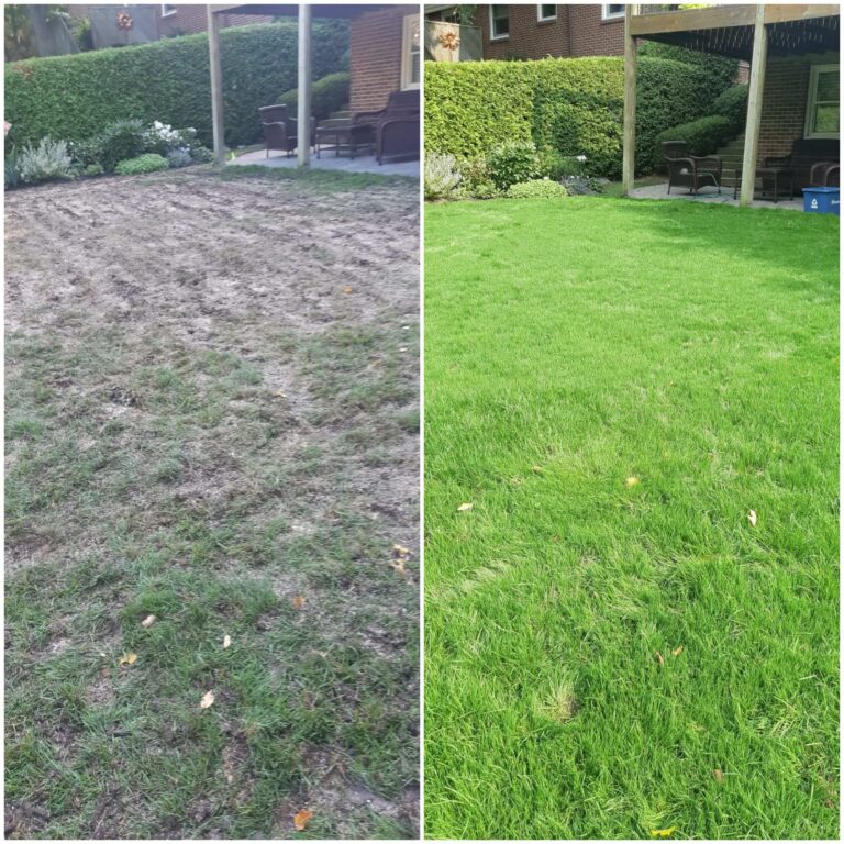 Before and After Lawn