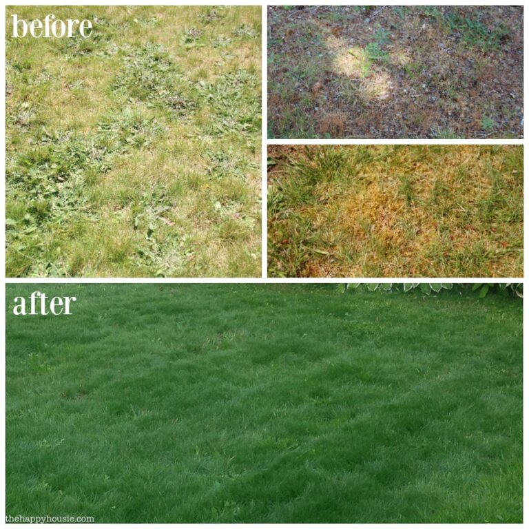Before-and-After-Our-Lawn-Makeover-Project-with-Scotts
