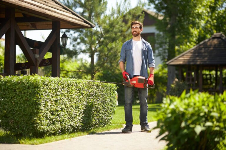 Top Lawn Care Tips for Melbourne Homeowners