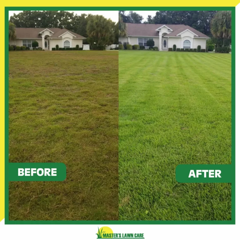 lawn health-3jpng_0.jpg