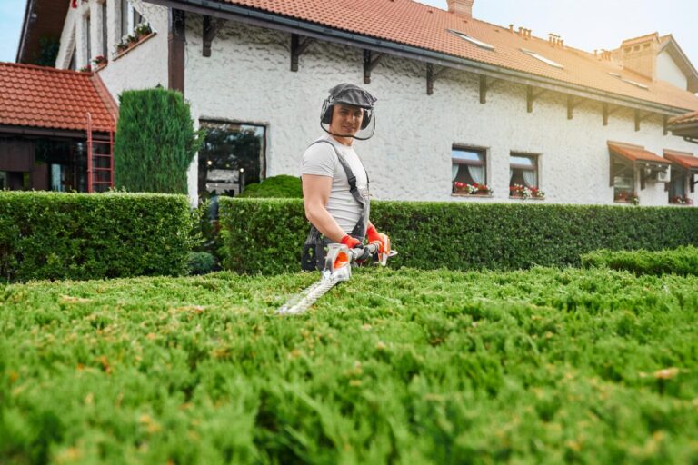 Why Regular Lawn Mowing is Important