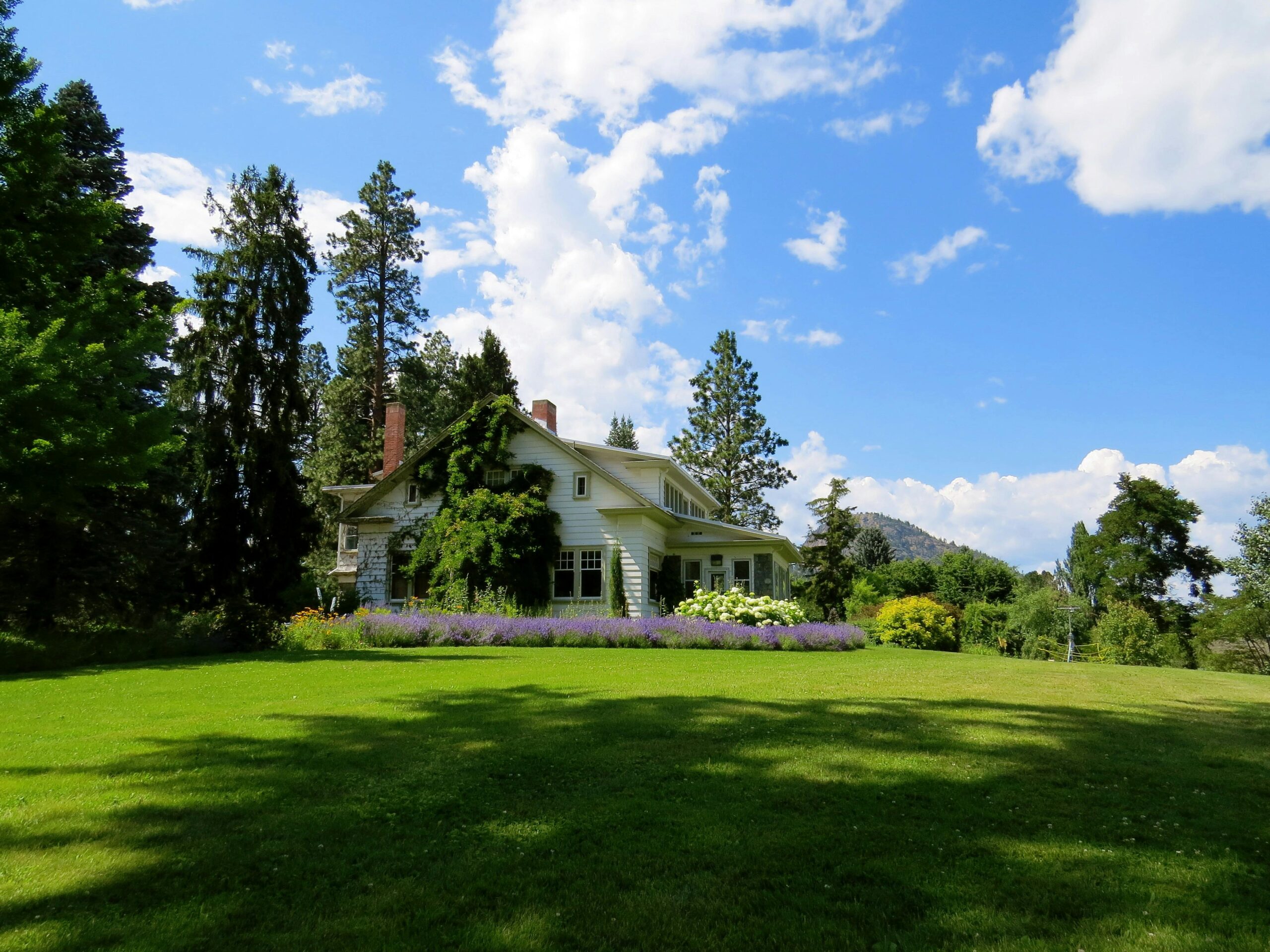 Small Lawn <br> Less than 100 sqm